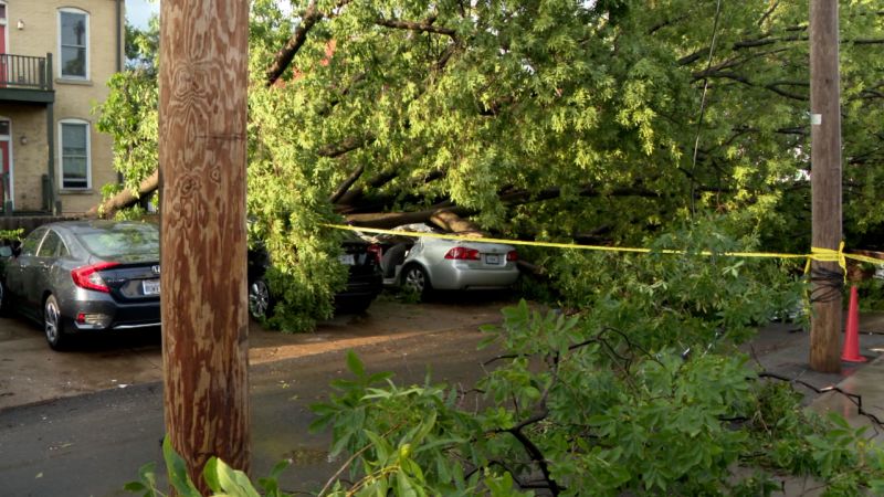 NextImg:Woman dies after tree falls on her car during Saturday's severe weather in St. Louis | CNN