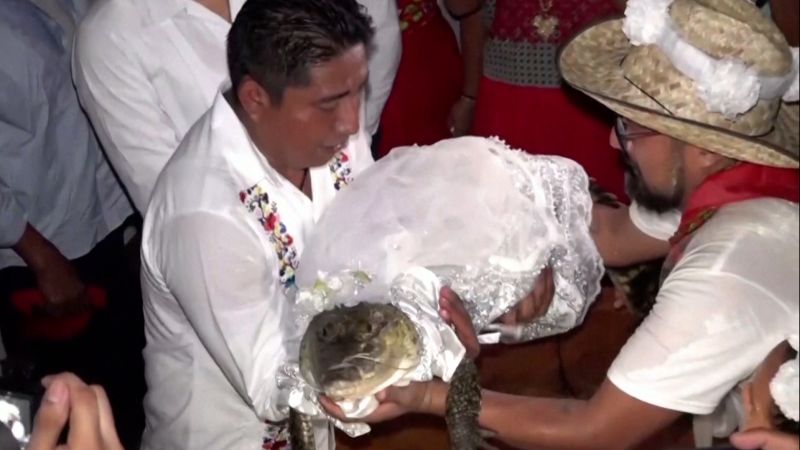 Video: Mayor marries crocodile in Mexico | CNN