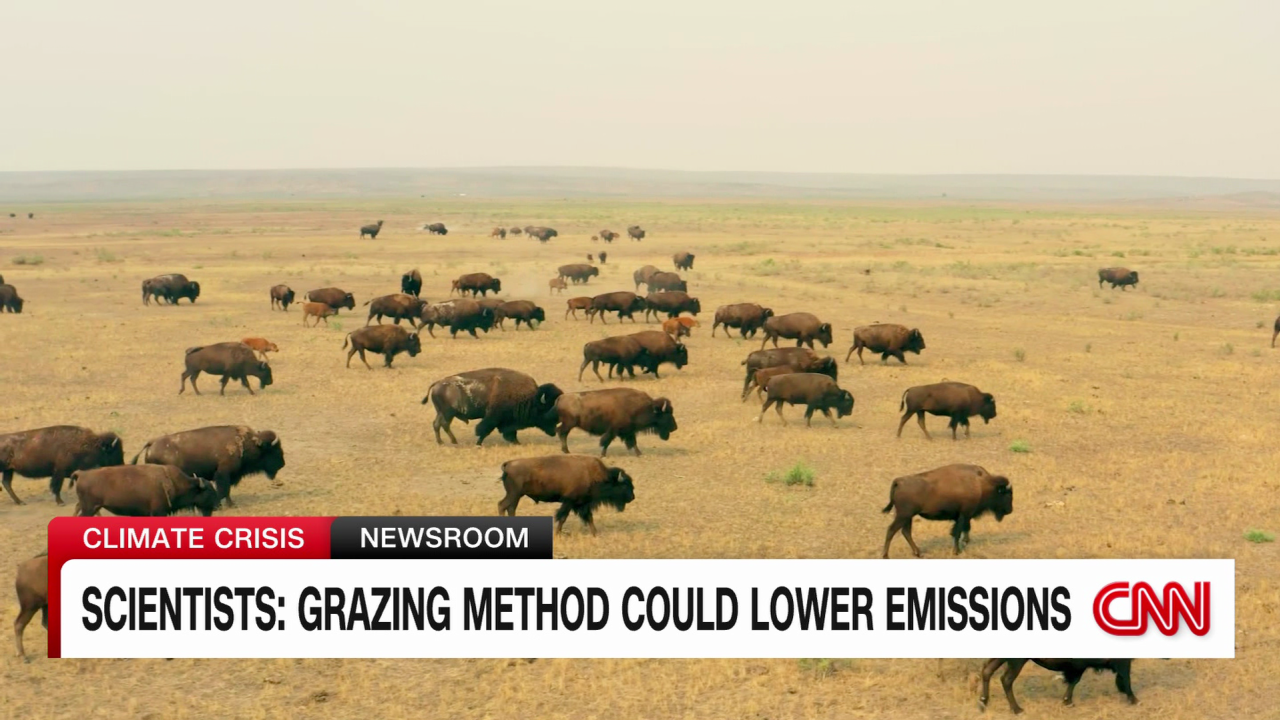 exp sustainable grazing weir pkg | 070308ASEG2 | cnni us _00002001.png