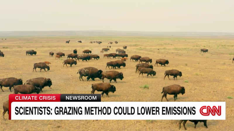 Scientists: grazing methods could lower carbon emissions