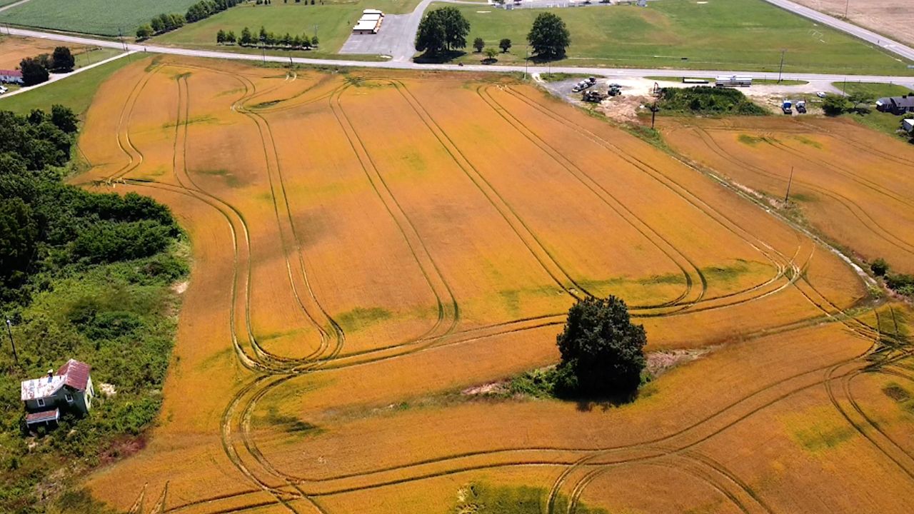 Part of the original 60 acres that Robert Haynie purchased in 1867 in Northumberland County, Virginia, as seen from above.