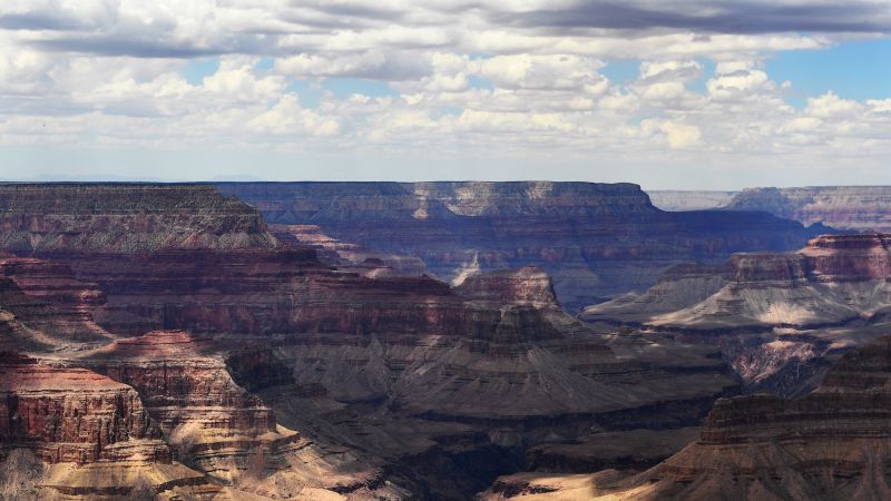 NextImg:Woman dies while hiking Grand Canyon in excessive heat | CNN
