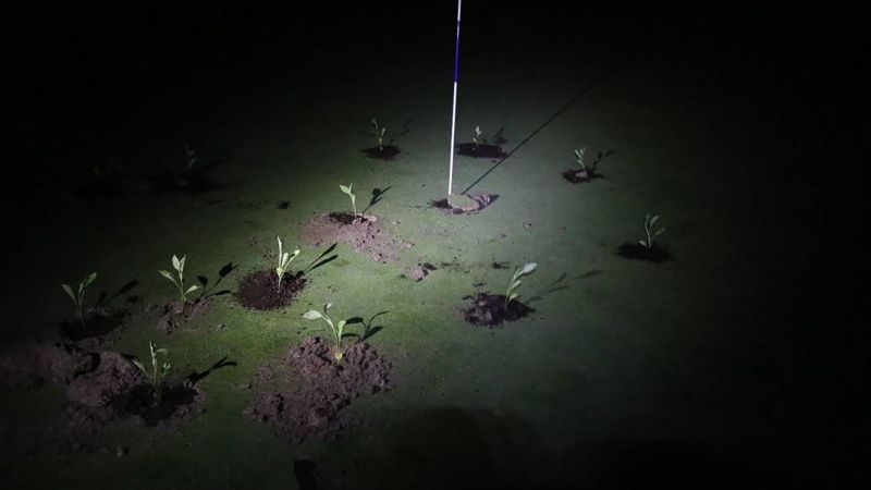 Climate activists block golf course holes with seedlings and cement to protest water use | CNN