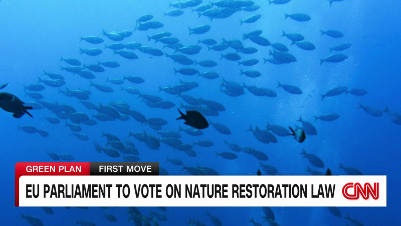 EU Parliament to vote on the Nature Restoration Law | CNN Business