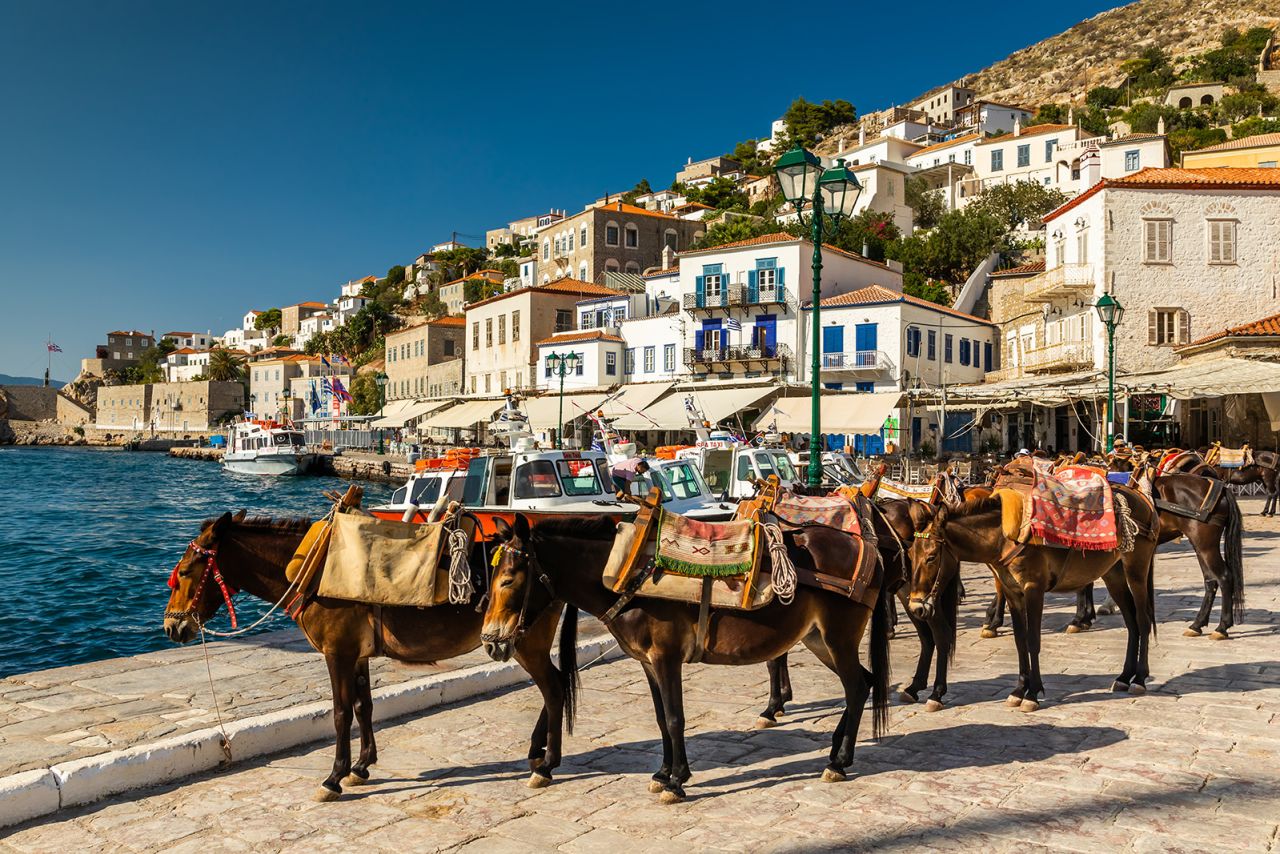 Donkeys as a transport at Hydra island Saronic Gulf Greece