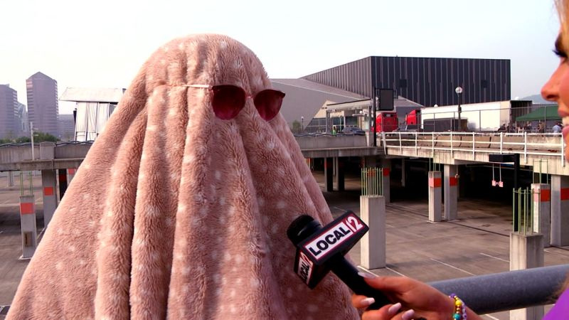 Taylor Swift fan earns legendary status for disguise