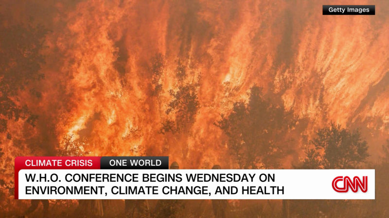 W.H.O.: 1.4 million European deaths can be blamed on climate change, environment  | CNN