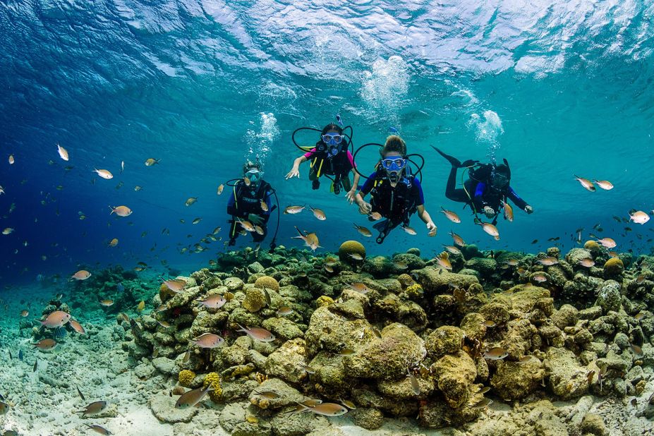 <strong>World-class diving: </strong>Bonaire is a renowned diving destination.