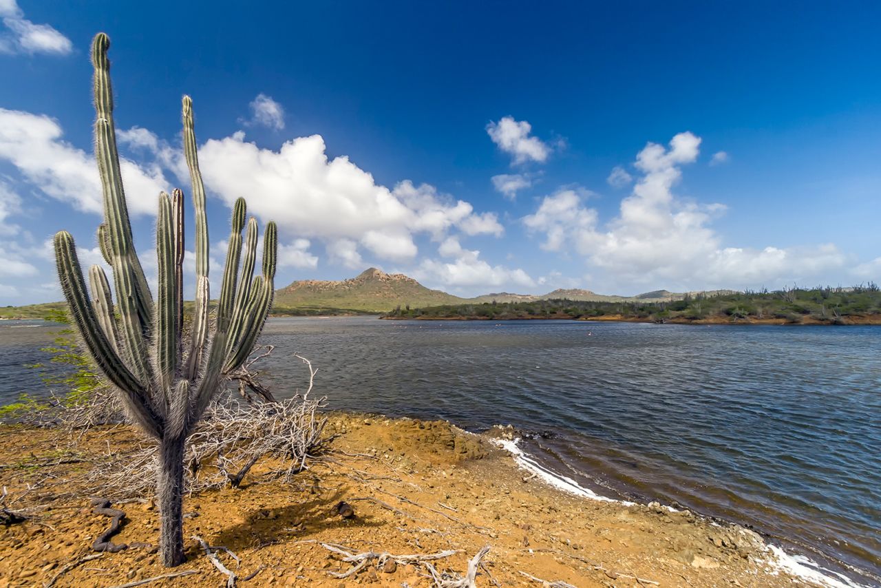 Washington Slagbaai National Park is an ecological reserve on the northwestern part of the Caribbean island of Bonaire