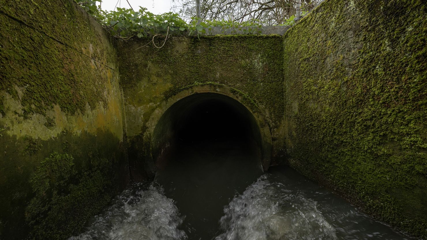 Sewage being discharged into Earlswood brook in Surrey, England, from a treatment works run by Thames Water in April 2023.