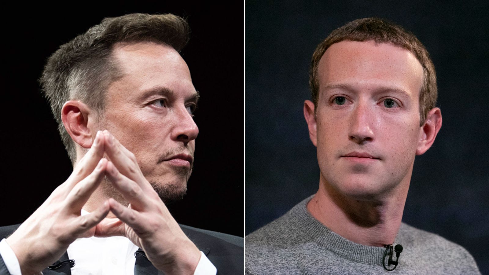Zuckerberg Vs Musk: Disputes Heat Up Over Billionaire Cage Fight