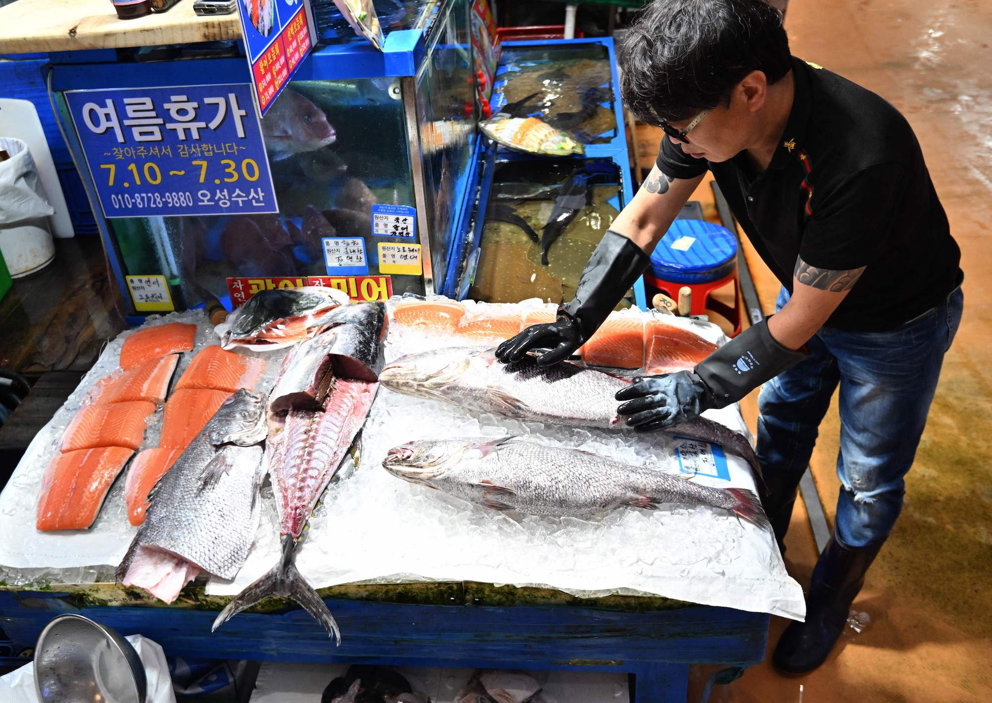 Buy Korean Fishing Tackle For Modernised Fishing 