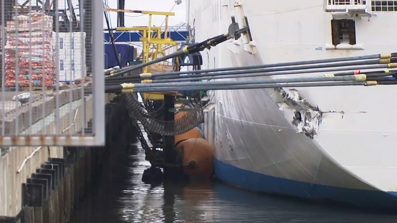 princess cruise ship damaged in san francisco