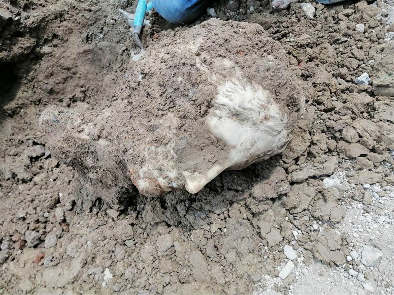 The head was found lying down and covered in earth.