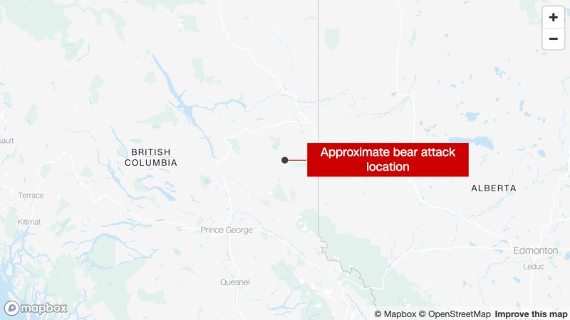 NextImg:Bear attack in British Columbia hospitalizes 21-year-old tree planter | CNN