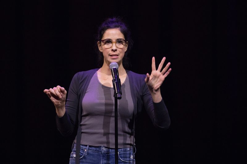 Sarah Silverman Sues OpenAI And Meta Alleging Copyright Infringement ...