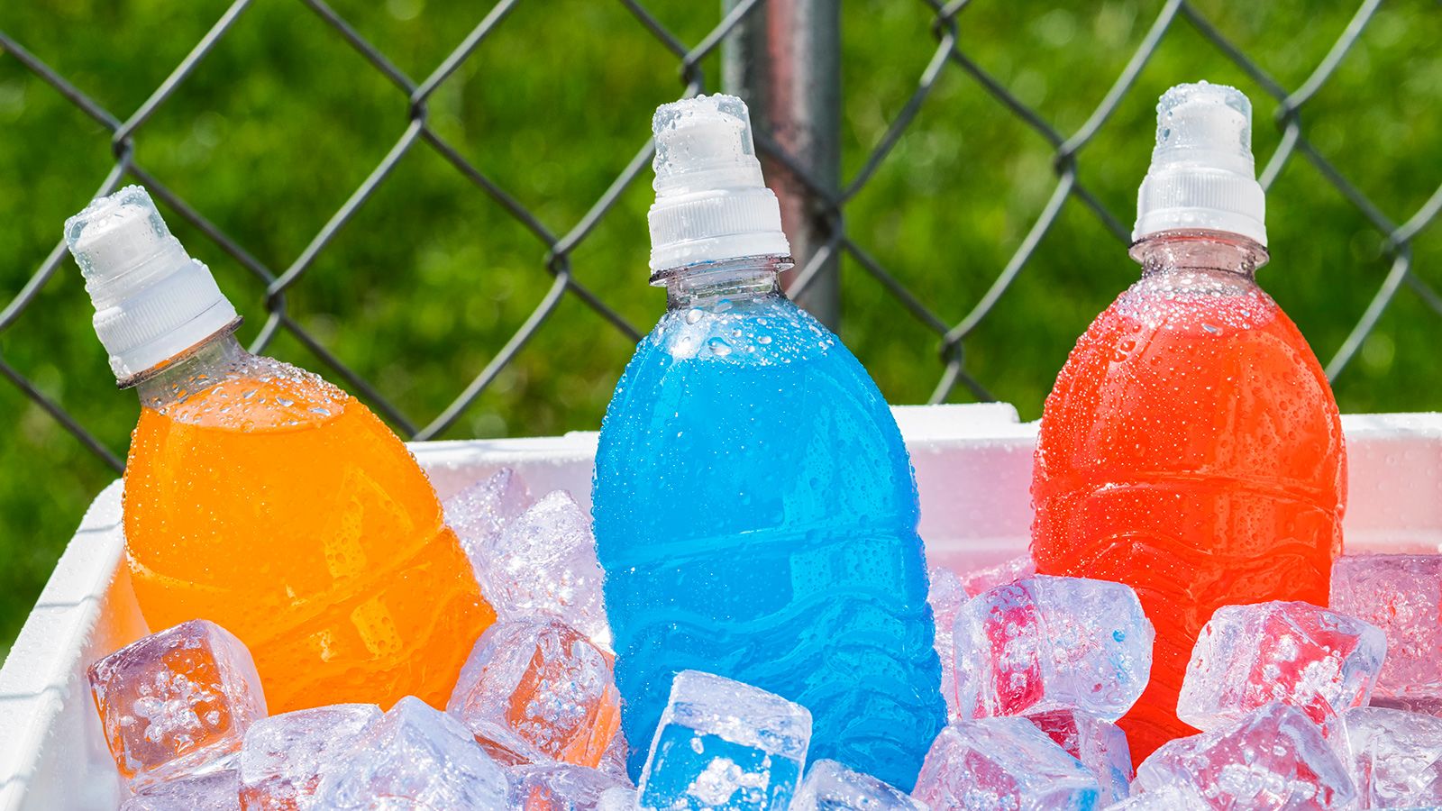 Asian Little Girls Drink Some Water Plastic Bottles Child Sweat