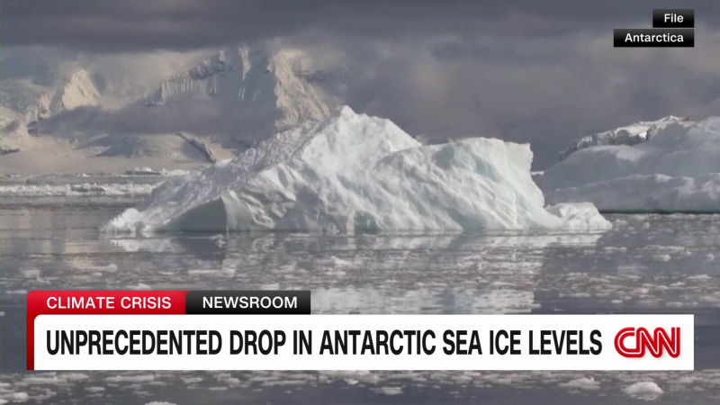 Sea ice levels in the Antarctica hit record low for the month of June | CNN