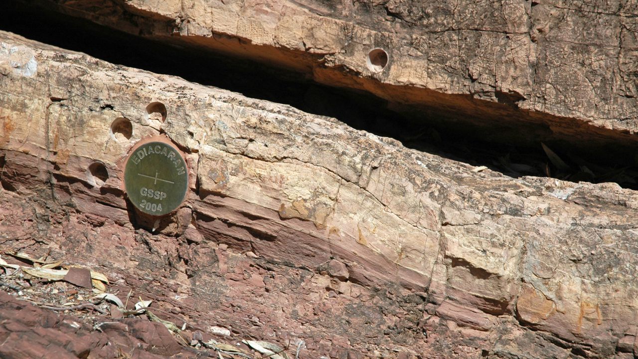 This is a "GSSP", a global stratotype section and point. Stratigraphers have been establishing these for important boundaries on the geologic time scale for many years now. This particular GSSP is in the Flinders Ranges of South Australia - it defines the boundary between the last two systems of the Precambrian, the Cryogenian (below) and the Ediacaran (above).