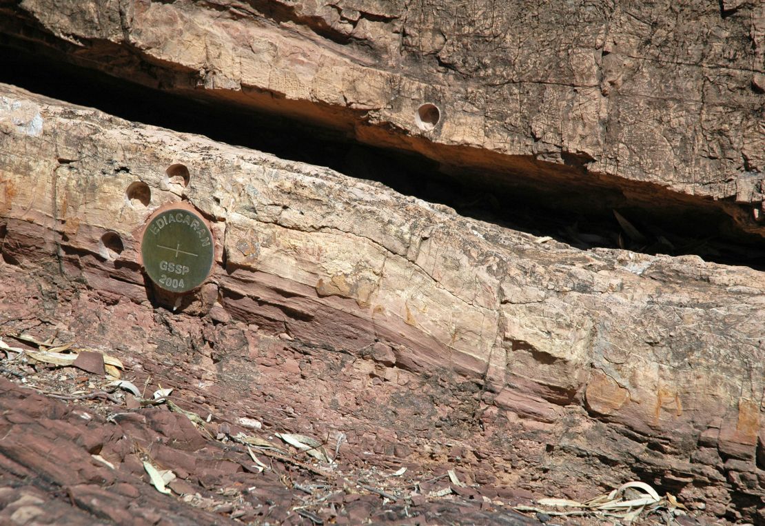 This is a "GSSP", a global stratotype section and point. Stratigraphers have been establishing these for important boundaries on the geologic time scale for many years now. This particular GSSP is in the Flinders Ranges of South Australia - it defines the boundary between the last two systems of the Precambrian, the Cryogenian (below) and the Ediacaran (above).