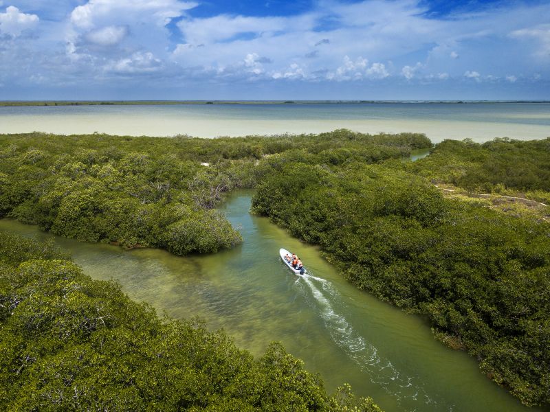 Climate Change Is Making Our Oceans Change Color, New Research Finds | CNN