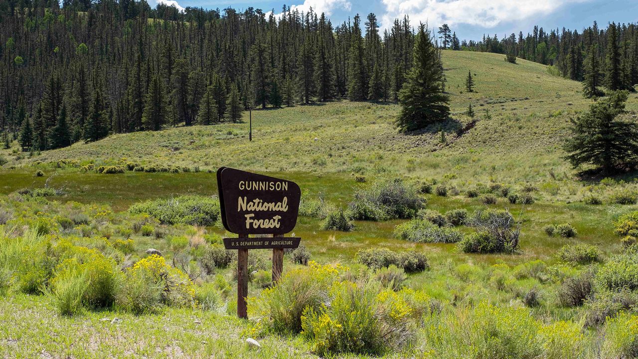 Gunnison National Forest: Colorado authorities are working to identify