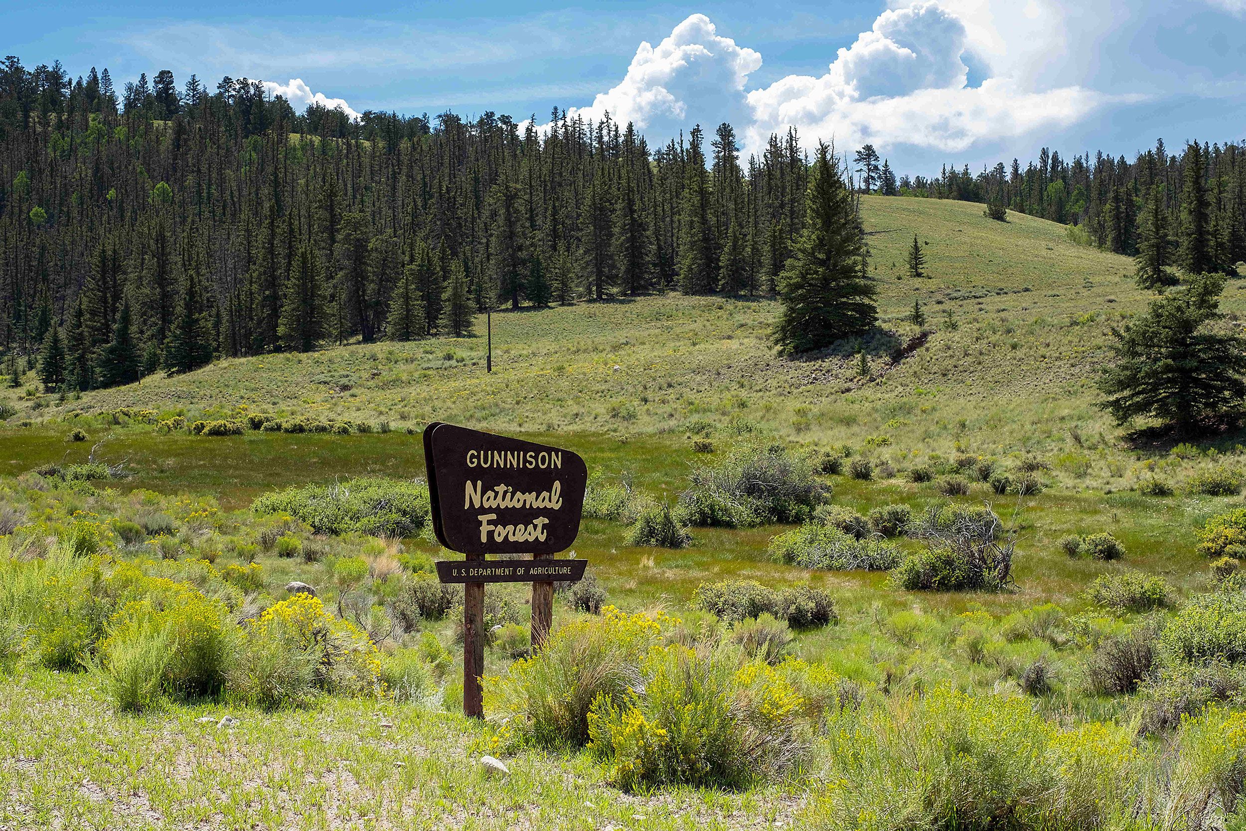 Gunnison County Colorado Inmate Search Gunnison County Colorado Inmate Search