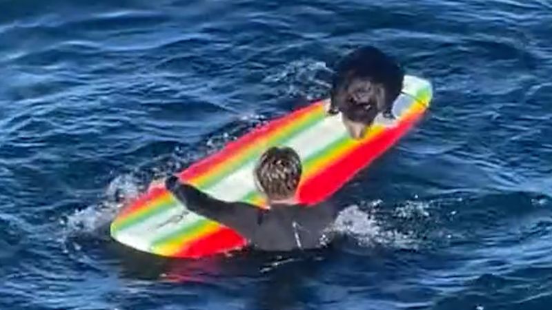 Sea otter wrestles surfboard away from its rider