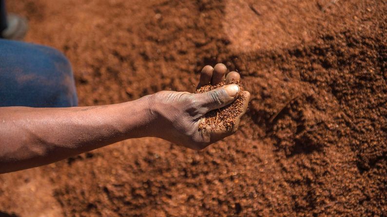 Rooibos, a plant grown in South Africa that is often used to make herbal tea, features in Uncover's glow toner. The brand says that it calms the skin and also acts as an anti-ageing ingredient. 