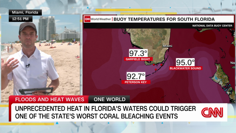 Unprecedented heat in Florida’s waters could trigger one of the state’s worst coral bleaching events | CNN