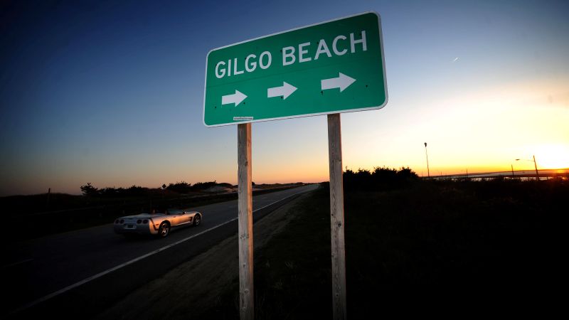 NextImg:Suspect in custody in New York's long-unsolved Gilgo Beach killings, sources say | CNN
