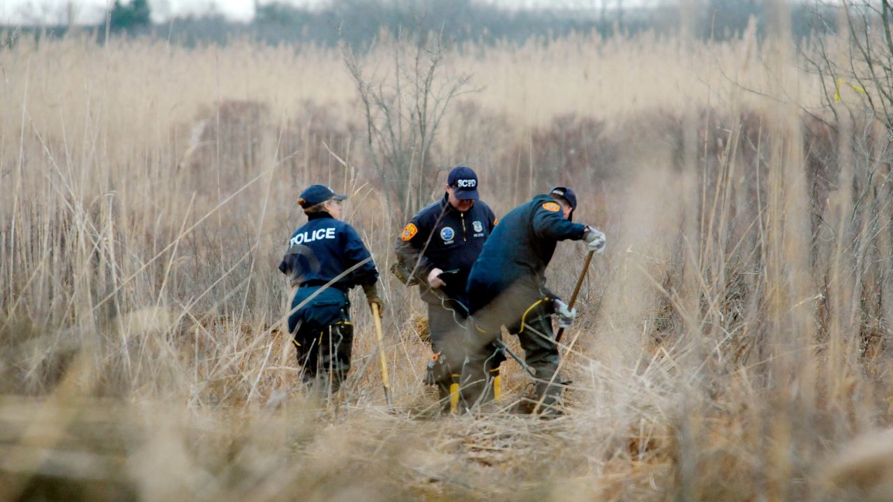 Crime scene investigators use metal detectors to search a marsh for human remains in December 2011 in Oak Beach, New York. 