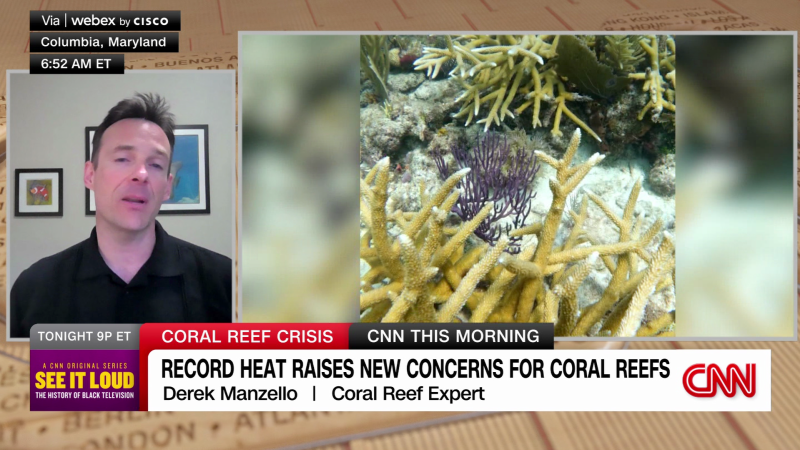 Record heat raises new concerns for coral reefs | CNN