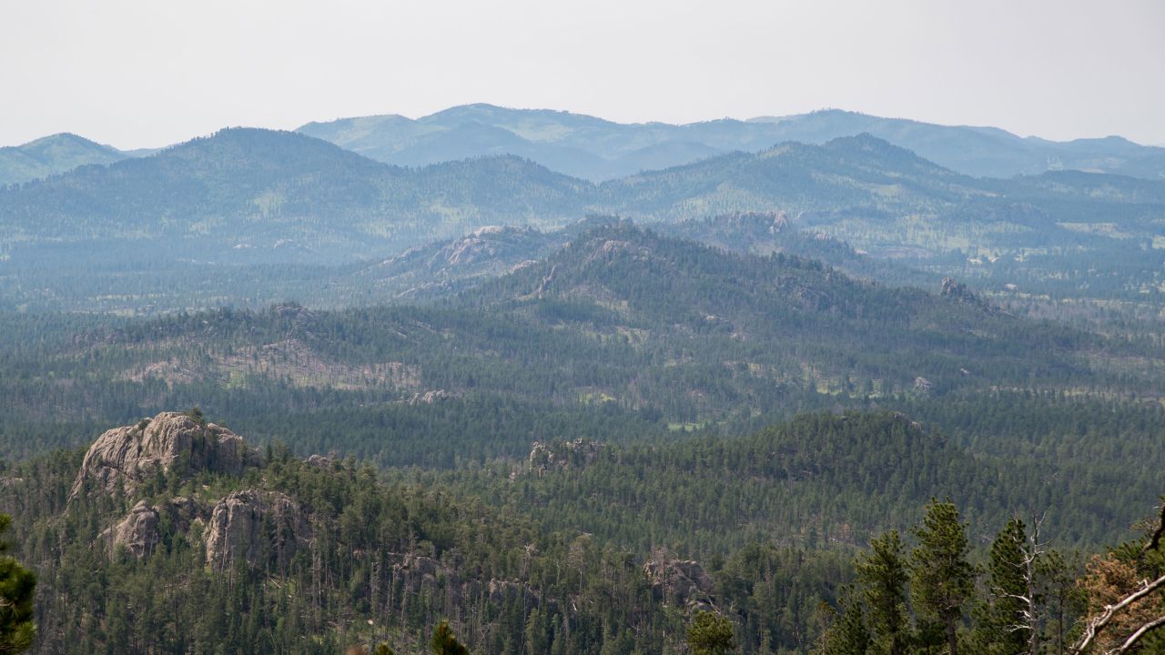 The Black Hills of South Dakota, a holy site for dozens of Indigenous tribes who are fighting to see the land returned to them.