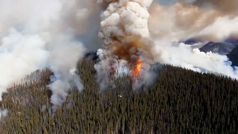 NextImg:As wildfires gobble more Canadian acreage, crews struggle to even keep up | CNN