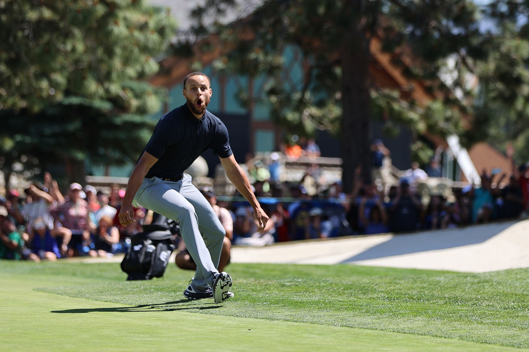 Ecstatic Steph Curry sinks walk-off eagle to win celebrity golf tournament
