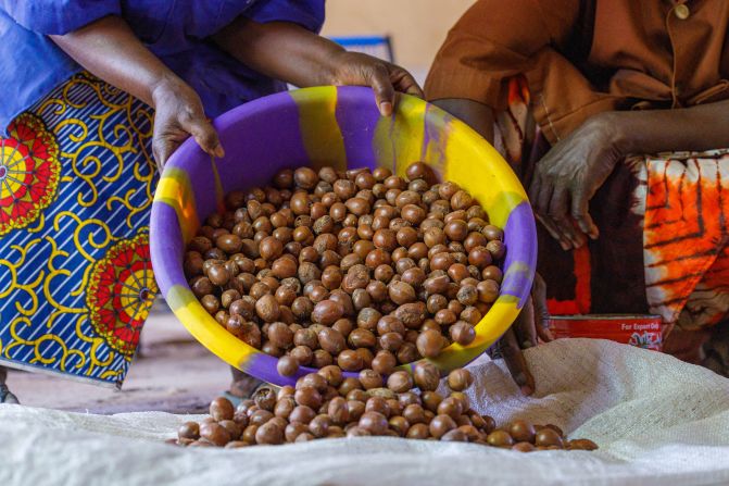 Shea butter is used as a moisturizer in all kinds of cosmetics produced around the world. It is made from the nuts of the Karite tree, which grows widely in Africa and is an important source of income in rural areas. According to the <a href="index.php?page=&url=https%3A%2F%2Fglobalshea.com%2Foverview%3Fpage%3DMjkwMzA1NjI0LjE0MTU%3D%2FIndustry%2520Overview" target="_blank" target="_blank">Global Shea Alliance</a>, 16 million women from Senegal to South Sudan help harvest the nuts.