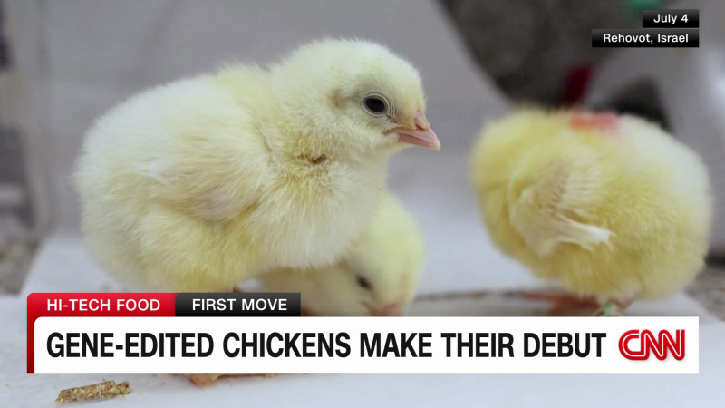Gene-edited chickens to help with the food chain | CNN