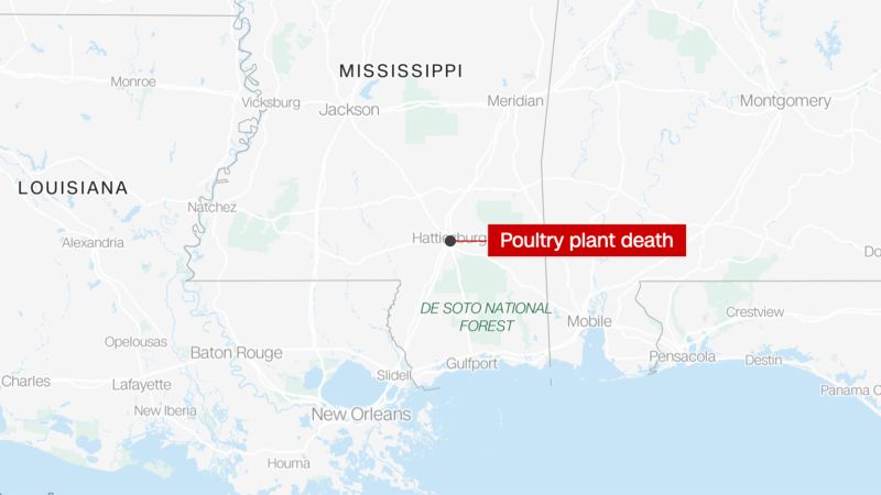 NextImg:A 16-year-old has died at a Mississippi poultry processing plant, county coroner says | CNN
