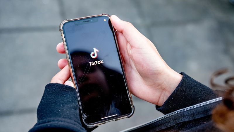 NextImg:TikTok 'stress test' shows it's not 'fully ready' for looming EU social media rules, commissioner says | CNN Business