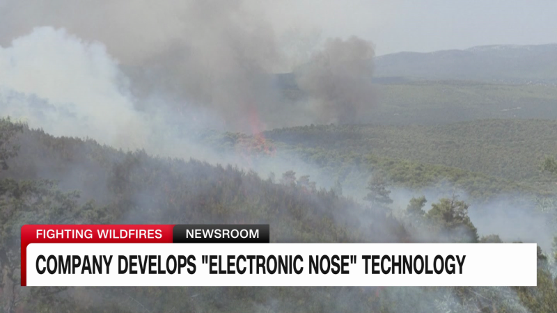 German startup installing electronic ‘noses’ in forests to help detect wildfires early | CNN
