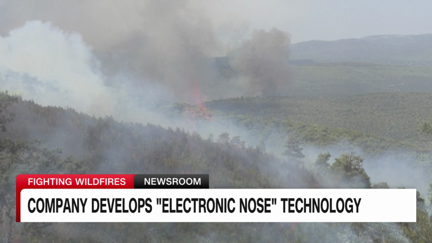 exp derek van dam germany ai wildfires 072003ASEG3 cnni world_00002001.png