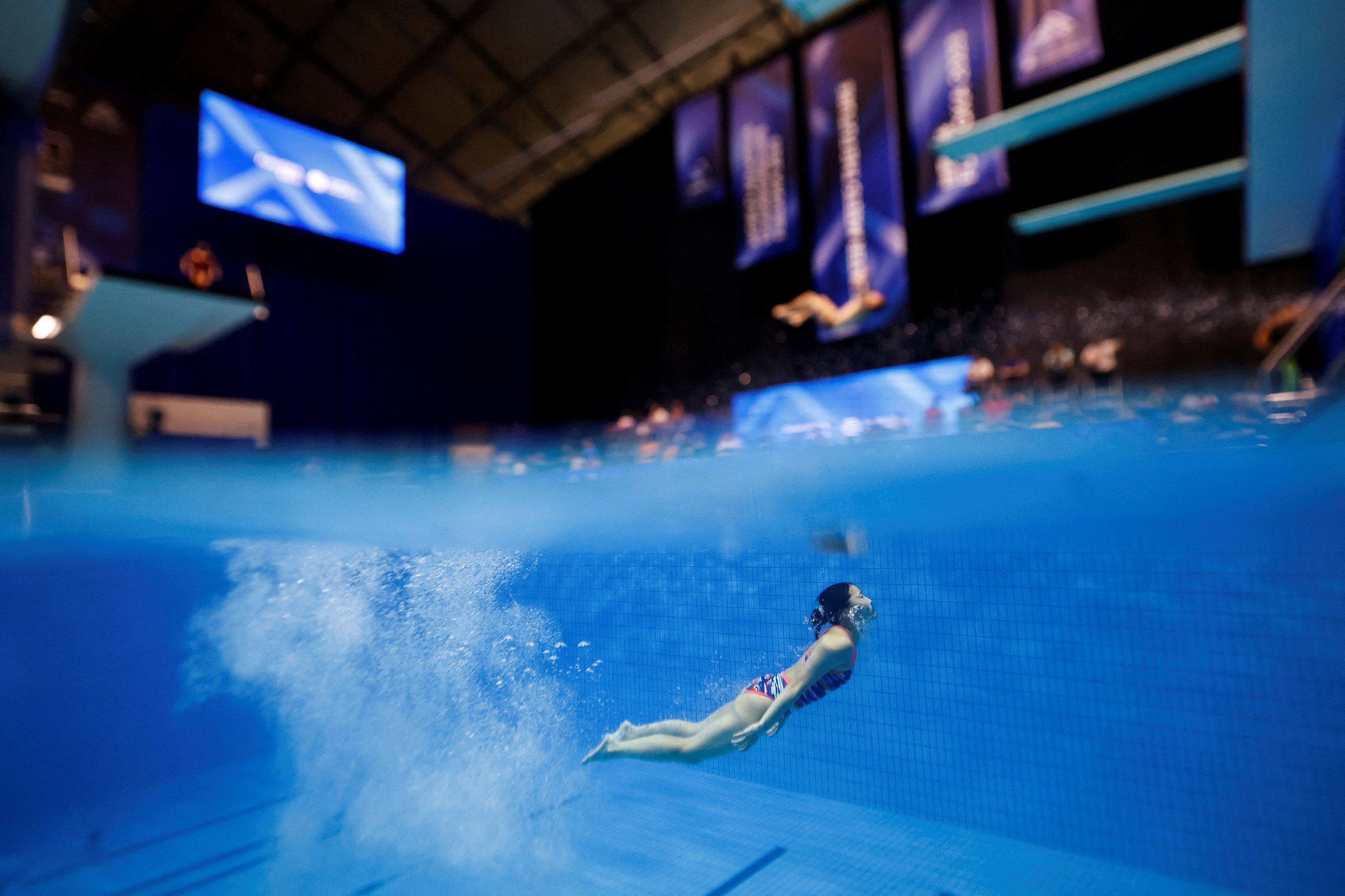 Divers at the World Aquatics Championships.