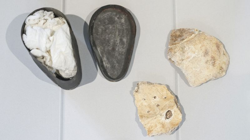 Fragments of skull believed to be BeethovenŌĆÖs returned to Vienna from US for scientific analysis