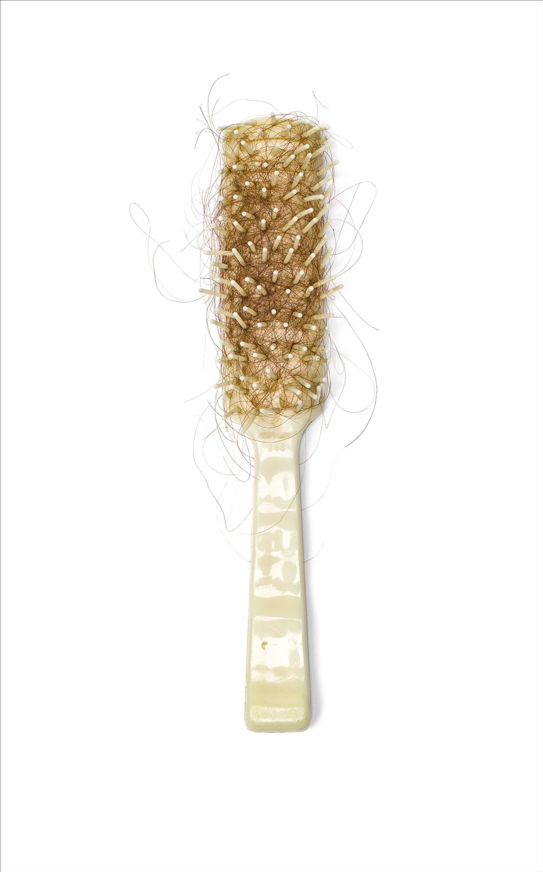 Photograph of Alan's Hairbrush from the series Saved: Objects of the Dead