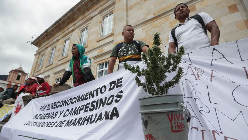 NextImg:Colombia's marijuana farmers want out of the shadows. Will the government ever legalize their harvest? | CNN