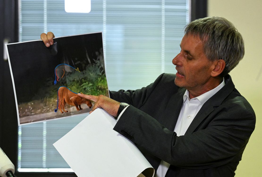 Michael Grubert, mayor of Kleinmachnow, holds a picture of the suspected animal.