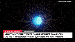 exp Janus White Dwarf Star RDR 072502ASEG3 CNNi World_00002001.png