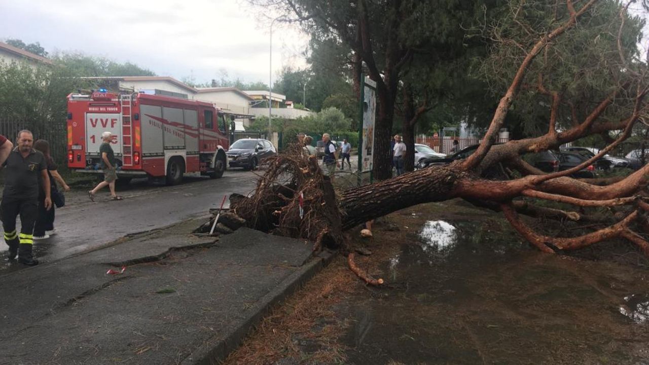 Firefighters and rescue services next to a fallen tree after a strong storm hit Lissone, Italy, on 24 July 2023.