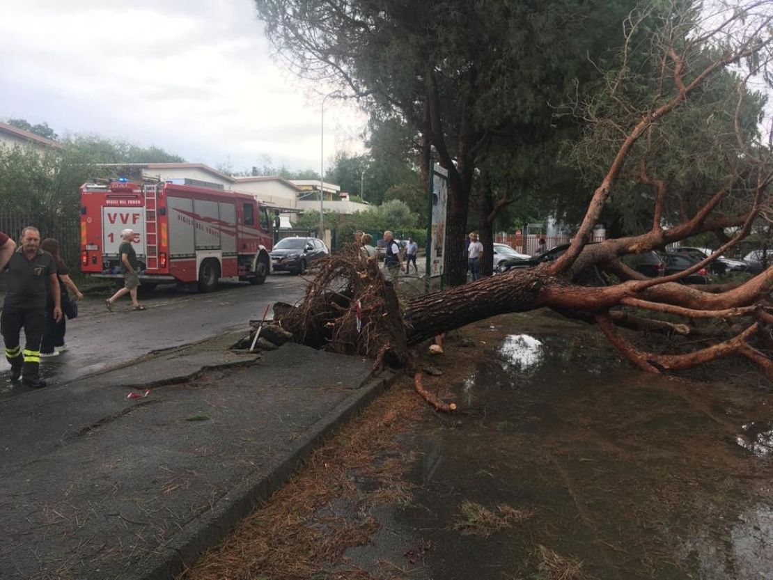 Firefighters and rescue services next to a fallen tree after a strong storm hit Lissone, Italy, on 24 July 2023. 